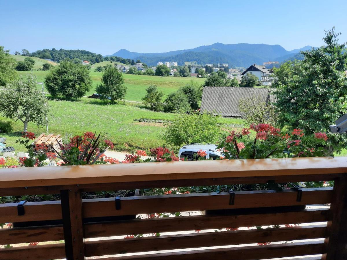 Apartma Smid Apartman Škofja Loka Kültér fotó